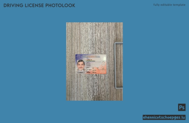 Beispielansicht für das Foto des Führerscheins der Dominikanischen Republik